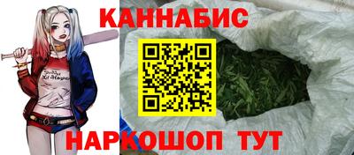 гидра Будённовск