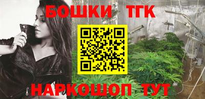 гидра Будённовск