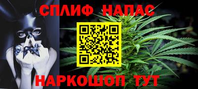 гидра Будённовск