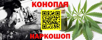 гидра Будённовск