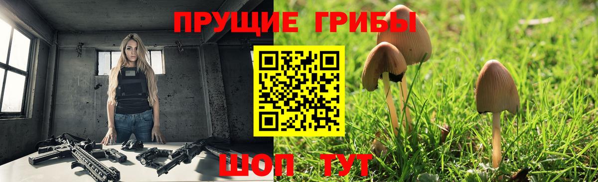 Галлюциногенные грибы Psilocybine cubensis  Вход с VPN  Волоколамск  Галлюциногенные грибы мухоморы 